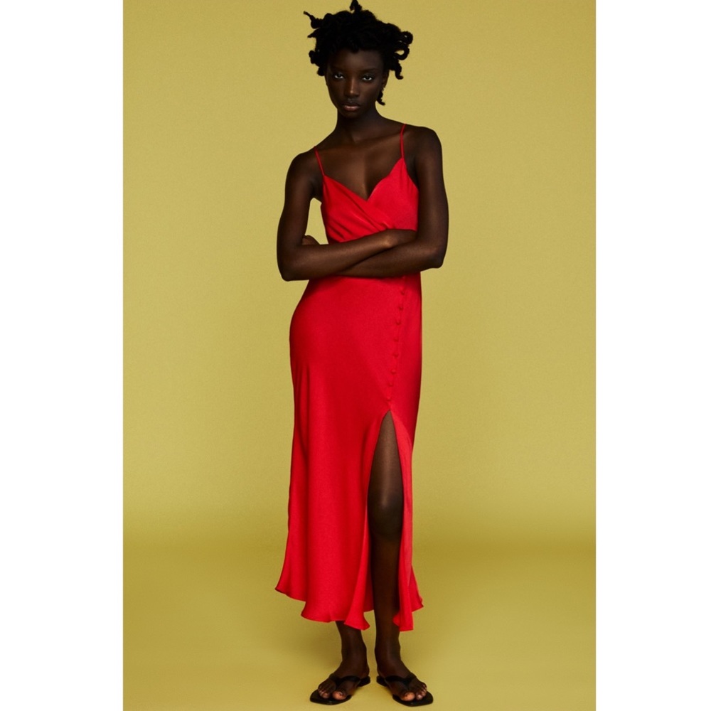 Zara Midi Dress - Picture 4 of 12